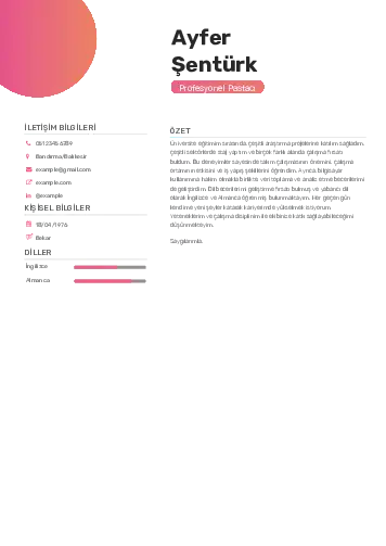 Pastacı Cv Örnekleri cv indir